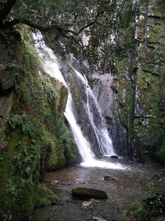 ホテルAlojamento Local De Pardieiros Avô エクステリア 写真